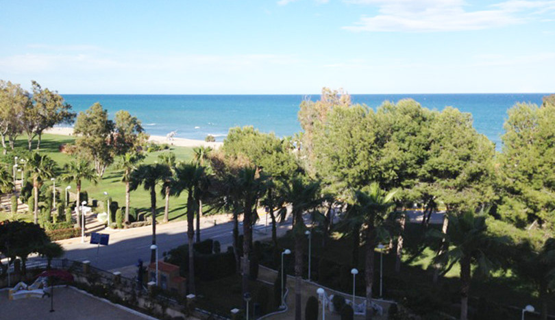 Terrace View